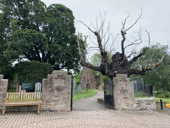 Scotland, May 2019 — travel photo 261