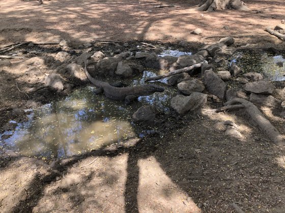 Australia, December 2019 — travel photo 6