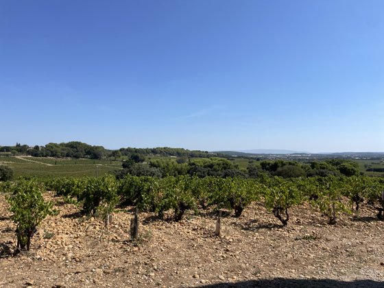 France, September 2023 — travel photo 77