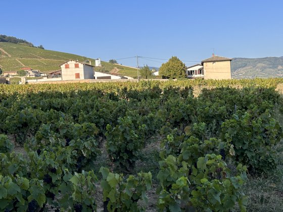 France, September 2023 — travel photo 306