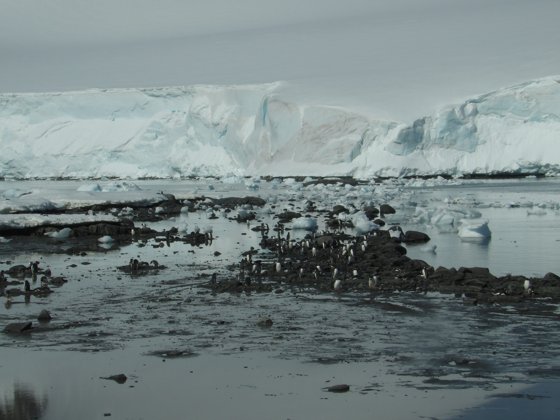 Antarctica, November 2024 — travel photo 58