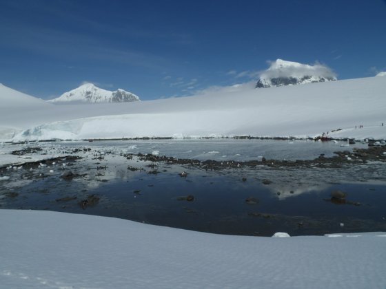 Antarctica, November 2024 — travel photo 61