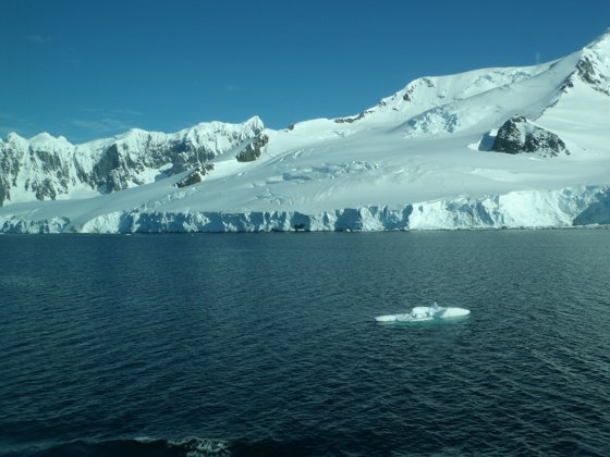 Antarctica, November 2024 — travel photo 74