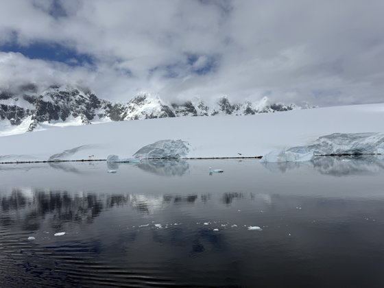 Antarctica, November 2024 — travel photo 90