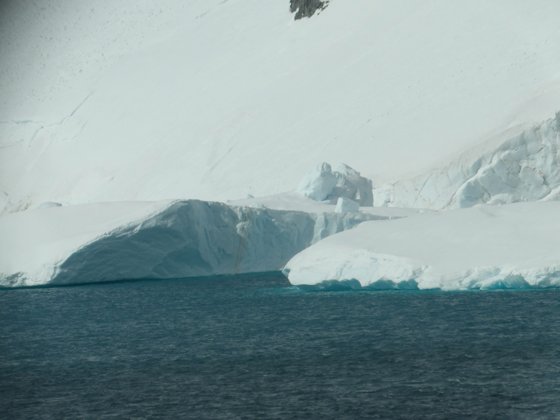 Antarctica, November 2024 — travel photo 289