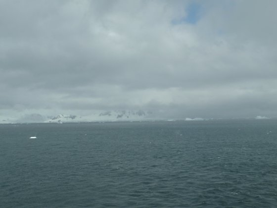 Antarctica, November 2024 — travel photo 291