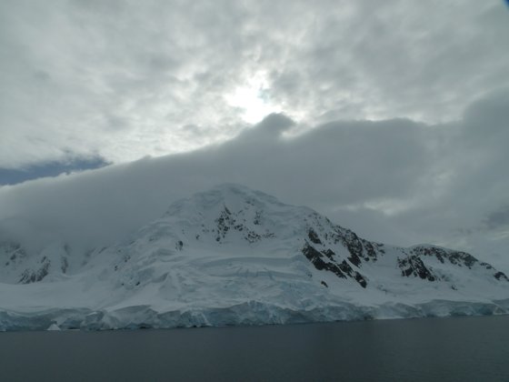Antarctica, November 2024 — travel photo 295