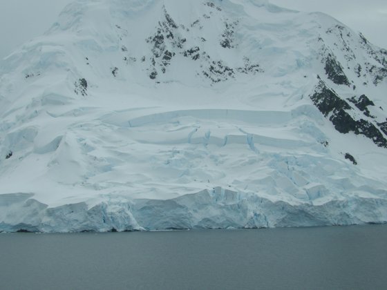 Antarctica, November 2024 — travel photo 296