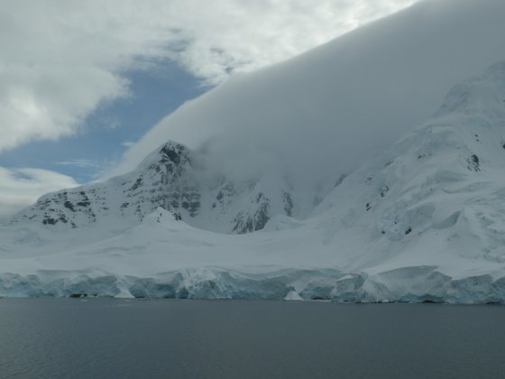 Antarctica, November 2024 — travel photo 298