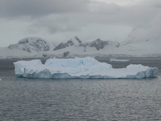 Antarctica, November 2024 — travel photo 304