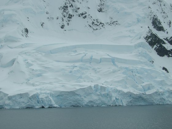 Antarctica, November 2024 — travel photo 307