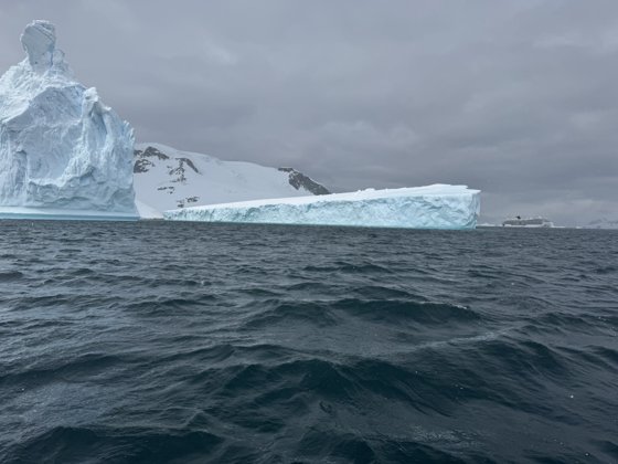 Antarctica, November 2024 — travel photo 313