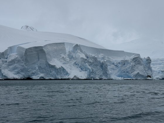 Antarctica, November 2024 — travel photo 319