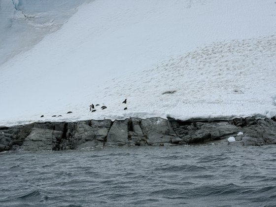 Antarctica, November 2024 — travel photo 328