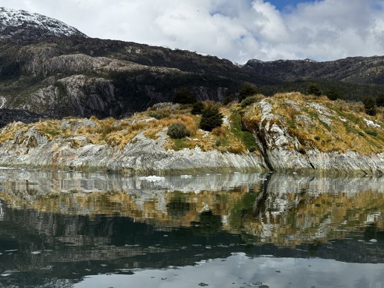 Chilean Fjords & Patagonia, November 2025 — travel photo 147