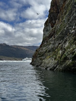Chilean Fjords & Patagonia, November 2025 — travel photo 160