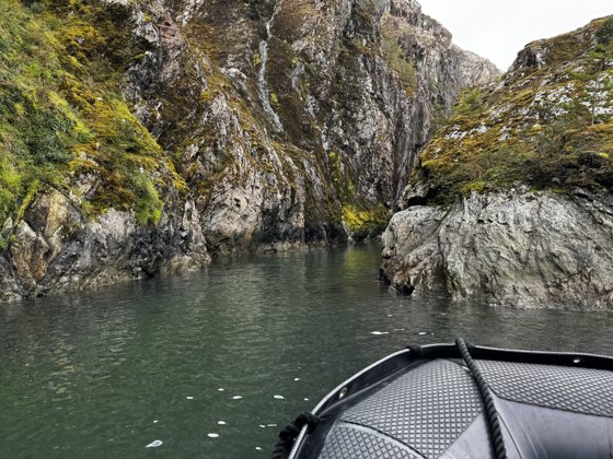 Chilean Fjords & Patagonia, November 2025 — travel photo 161