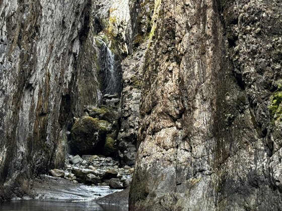 Chilean Fjords & Patagonia, November 2025 — travel photo 162