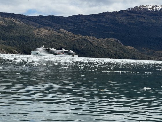 Chilean Fjords & Patagonia, November 2025 — travel photo 165