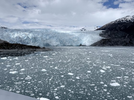 Chilean Fjords & Patagonia, November 2025 — travel photo 169