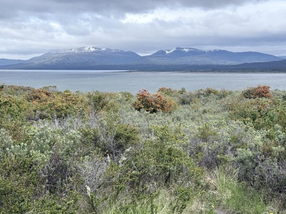 Chilean Fjords & Patagonia, November 2025 — travel photo 174